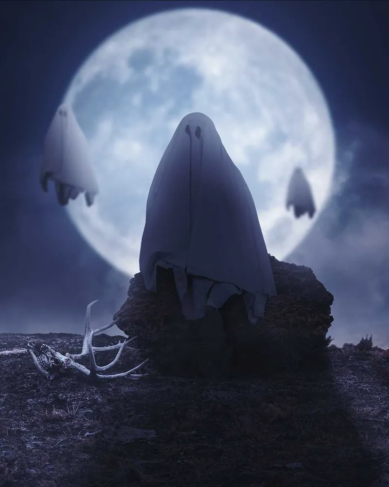 Karya Digital #12
